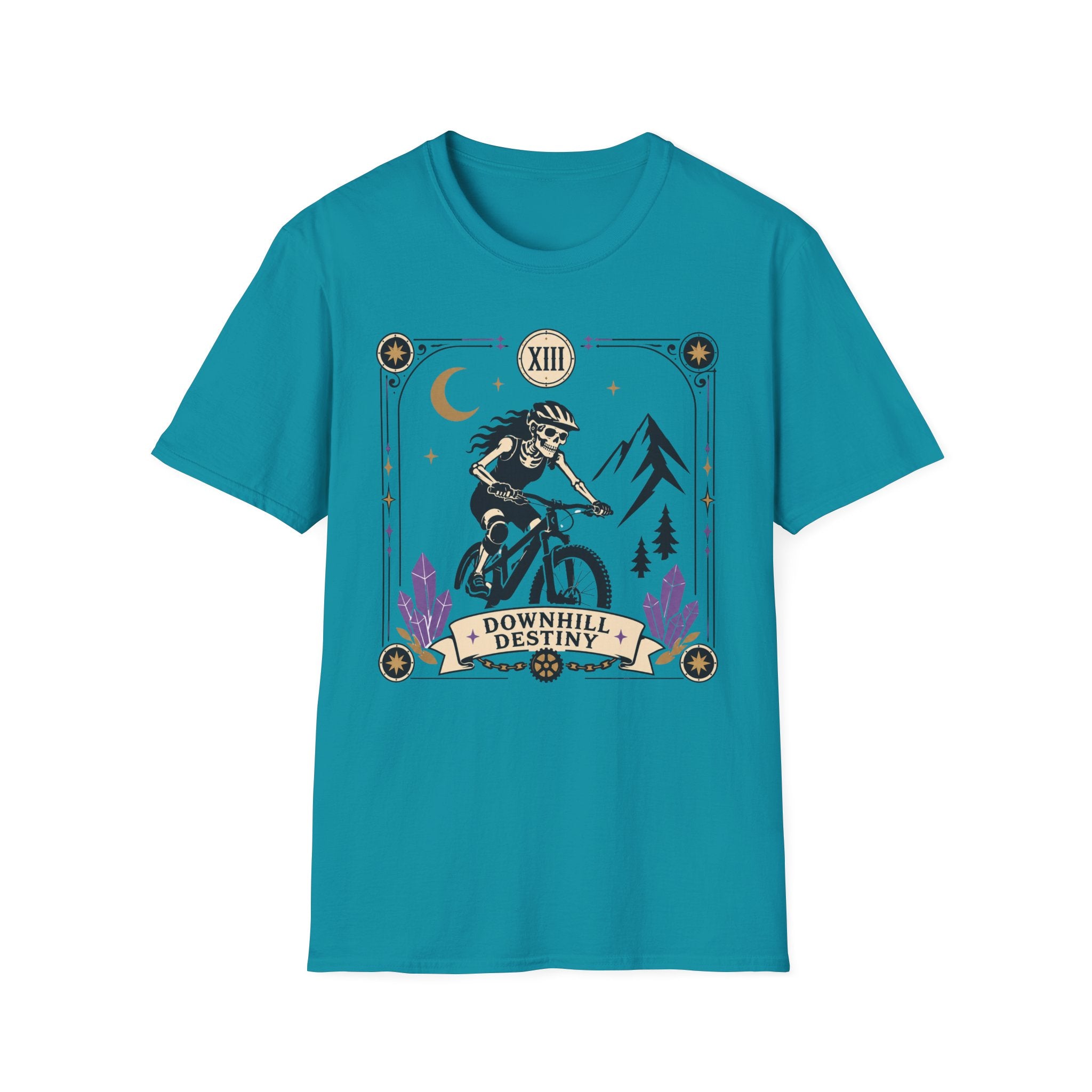 Downhill Destiny Women's T-Shirt